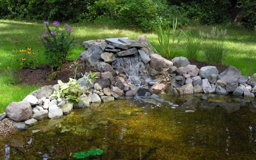 8 Steps to Closing Up a Backyard Pond for Winter – BackYardWay