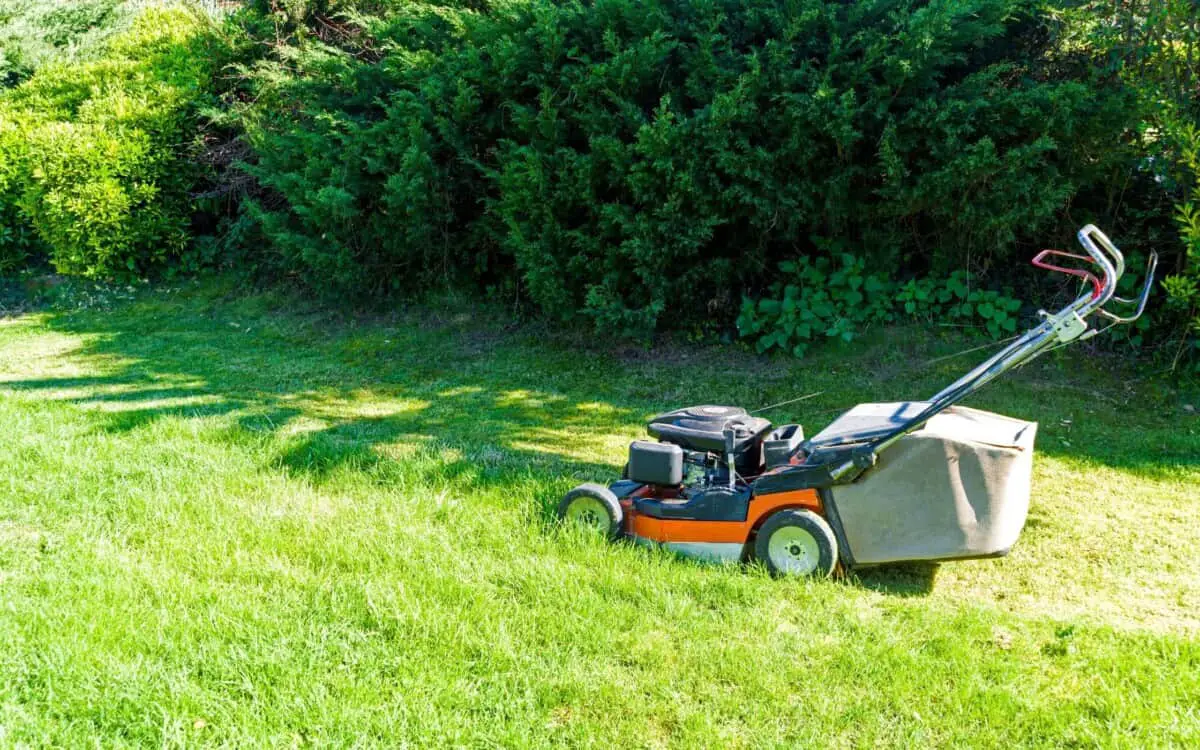 Lawn mower on grass