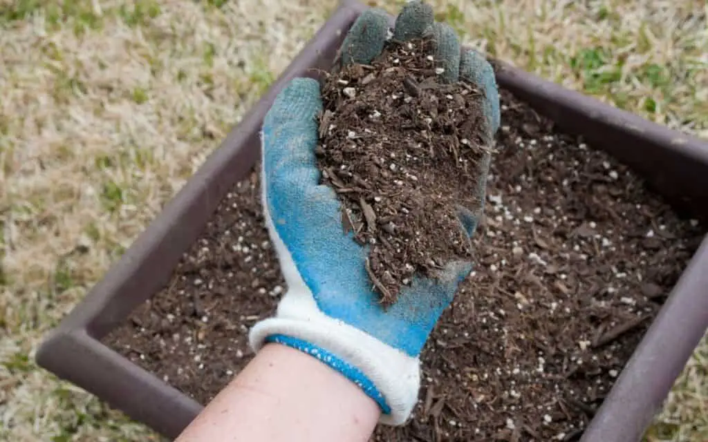 Is Potting Soil from Dollar General Good for Your Garden?