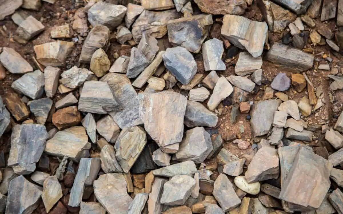 Rocks on ground