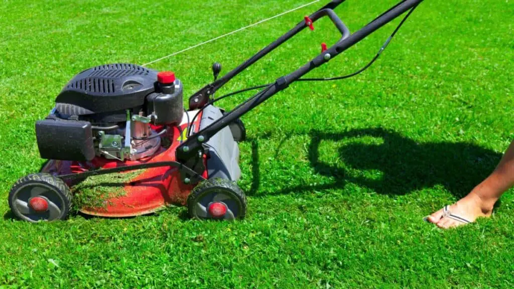 Why Does Your Lawn Mower Engine Speed Up and Slow Down? BackYardWay