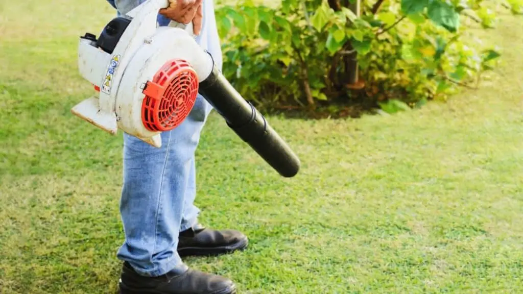 Why Are Leaf Blowers So Loud and How to Fix Them? BackYardWay