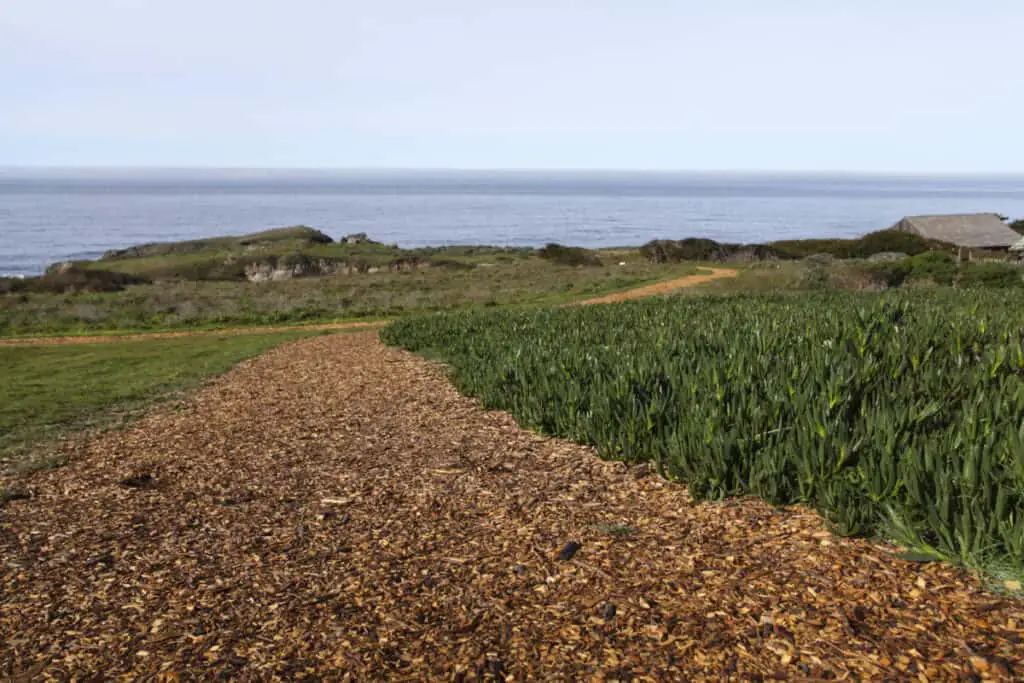 Is Mulch Good for a Driveway? BackYardWay