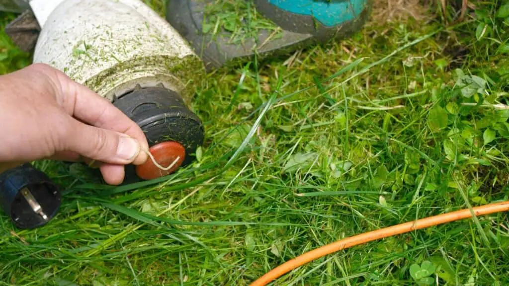 What Is Better a Square or Round Trimmer Line? BackYardWay