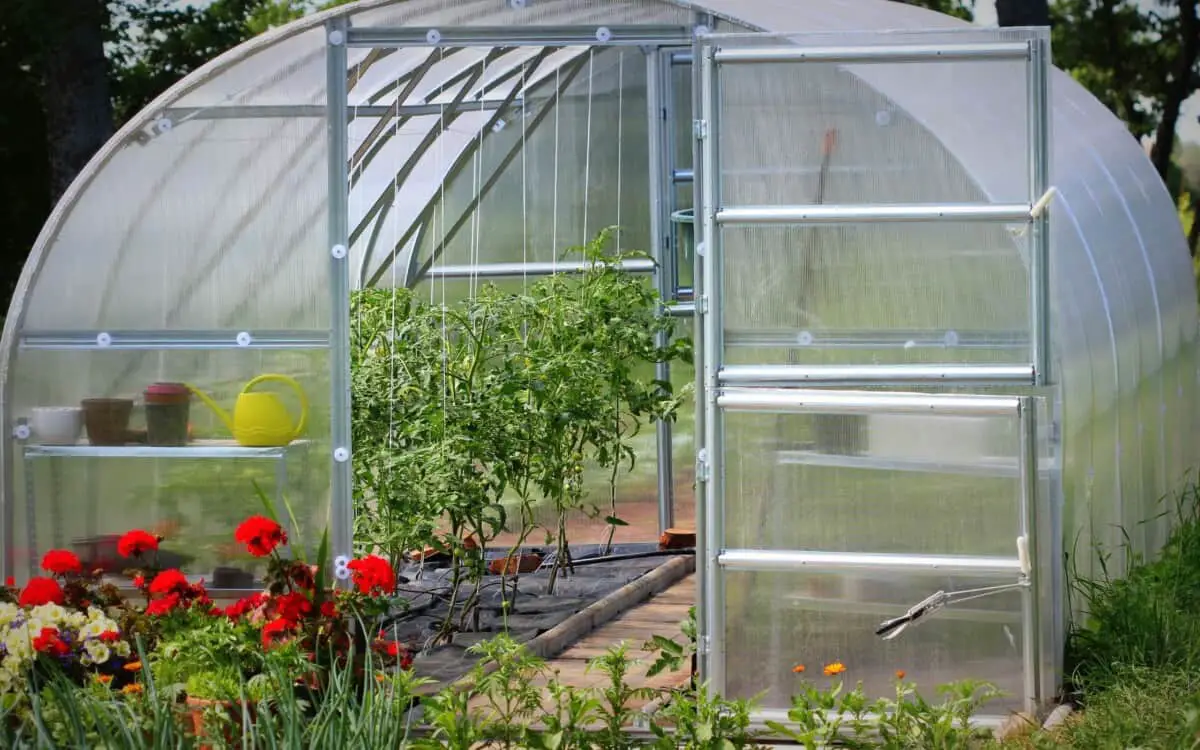 Greenhouse in Your Backyard