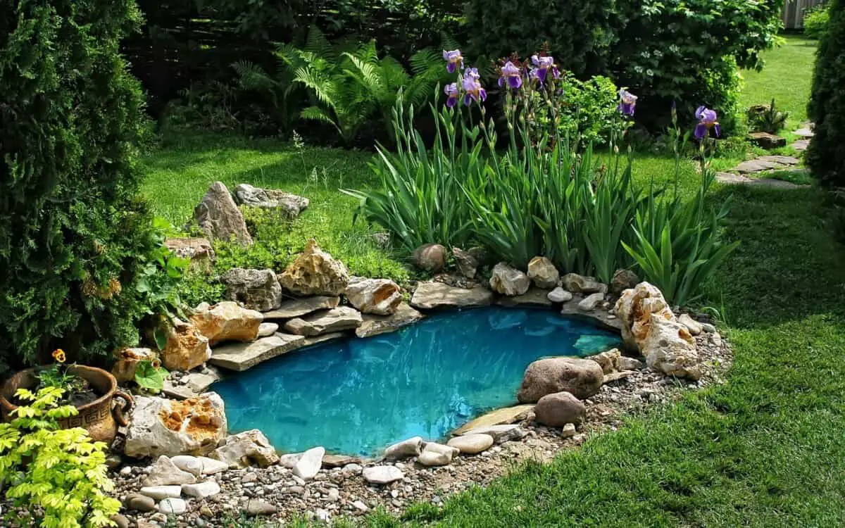 Small pond in garden