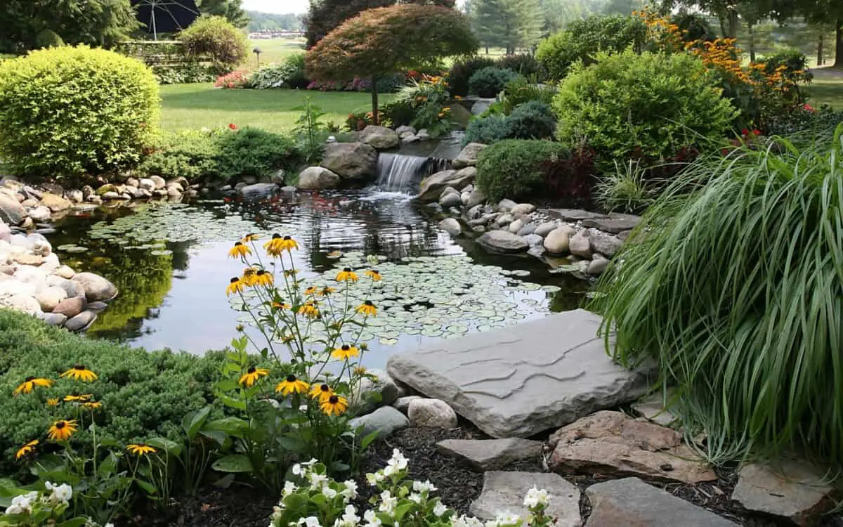 backyard pond with waterfall