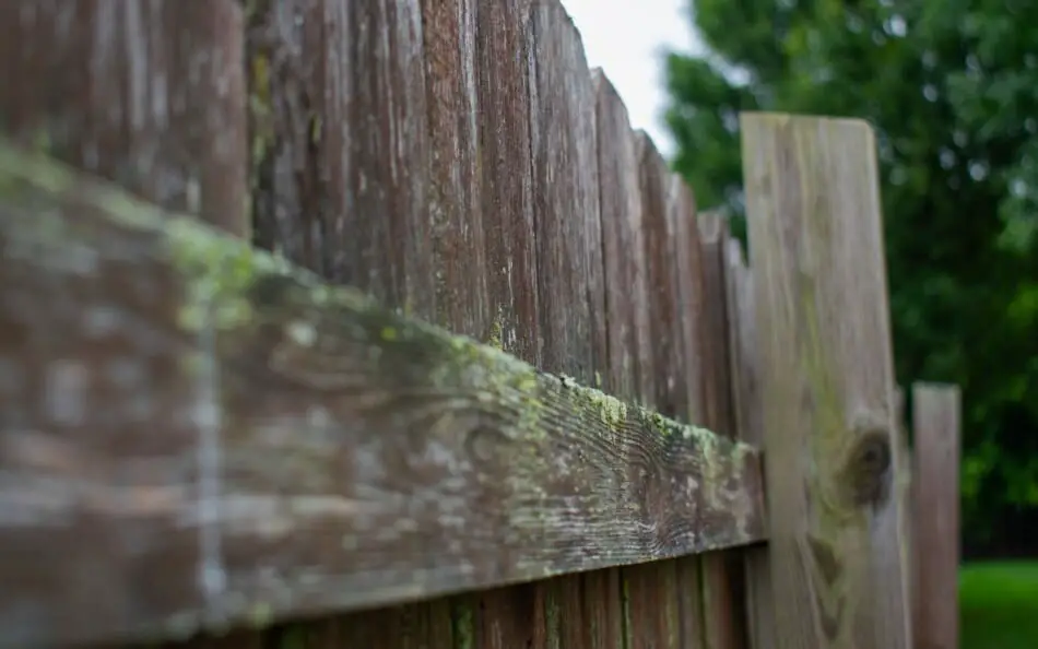 Wooden algae fence