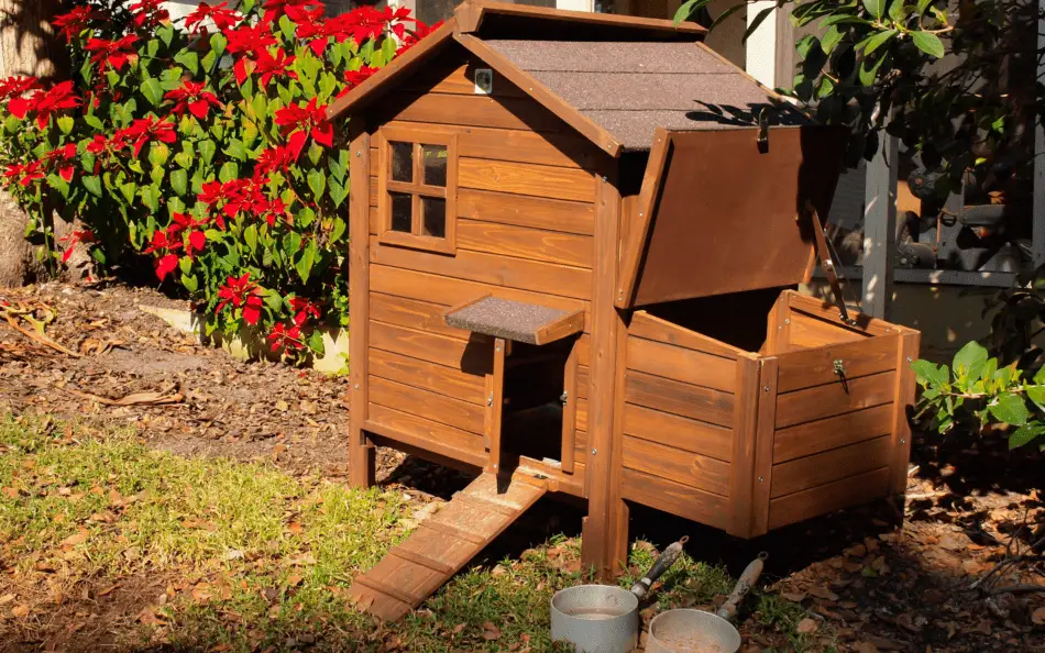 Are Chicken Coops Allowed in Backyards? Find Out Here