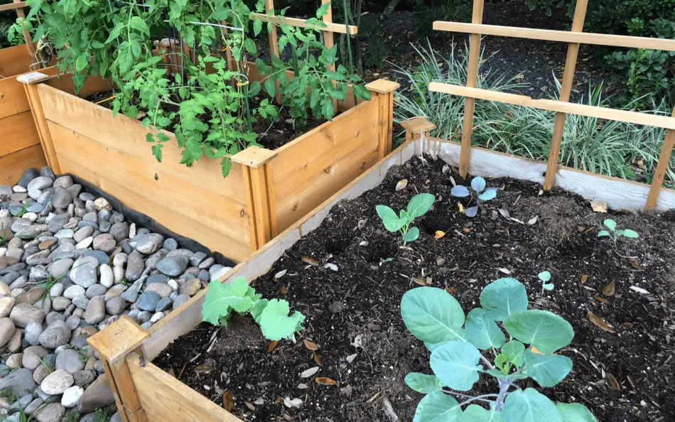 How Deep Should a Planter Box Be for Vegetables?