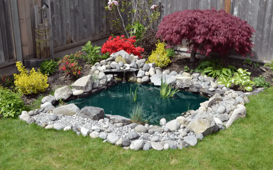 How to Oxygenate Your Pond Without a Pump
