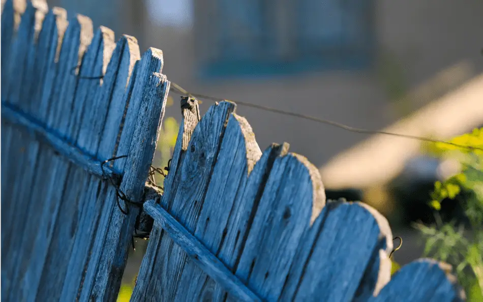Staining Vs. Painting: Which Is Better for a Fence?