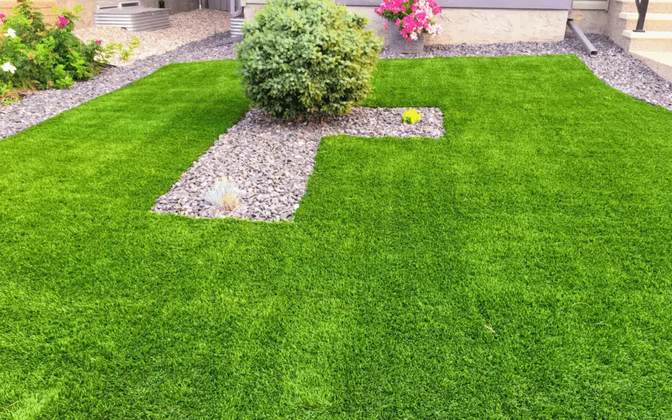 Why You Should Roll Your Lawn